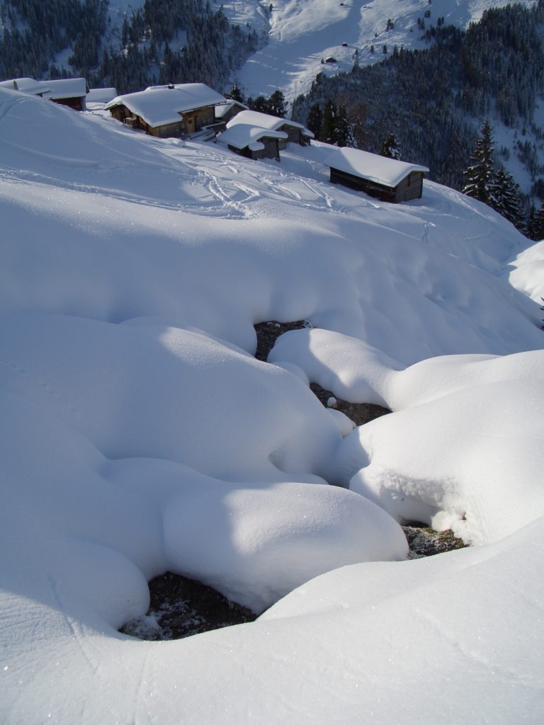 Schneeschuhe wandern - fern von Lärm und Trubel