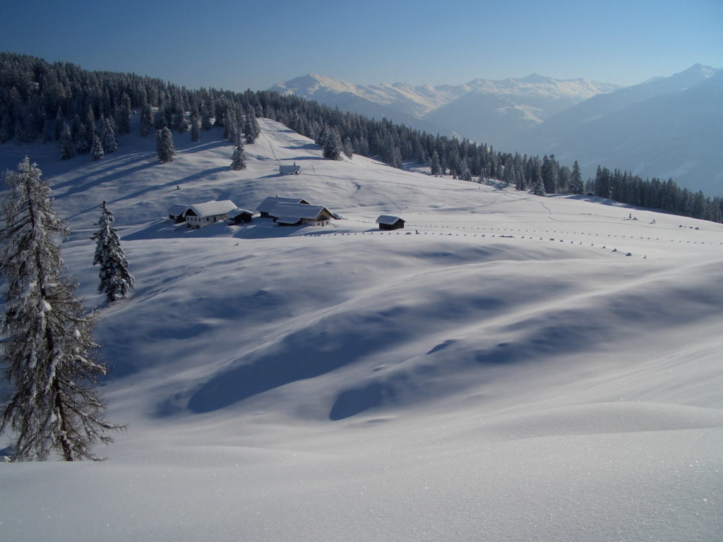 Schneeschuhe wandern - hier geht´s perfekt: Hügelige Almflächen mit Ausblick