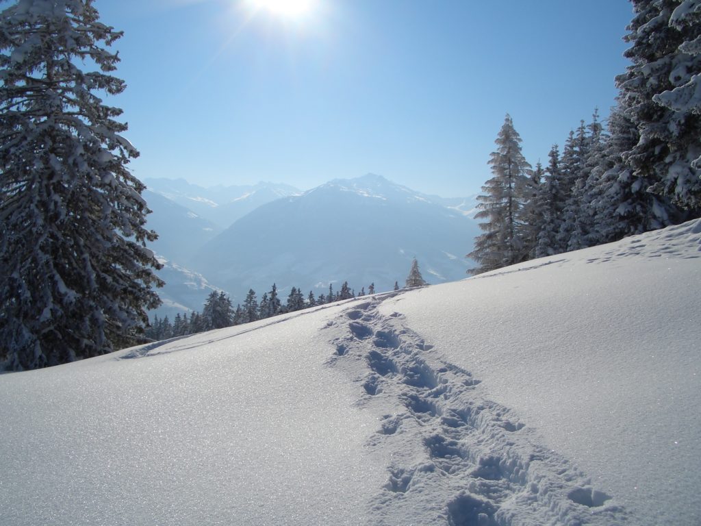 Schneeschuhe wandern - selbst die Spur im Schnee ziehen und die Freiheit in der Natur spüren