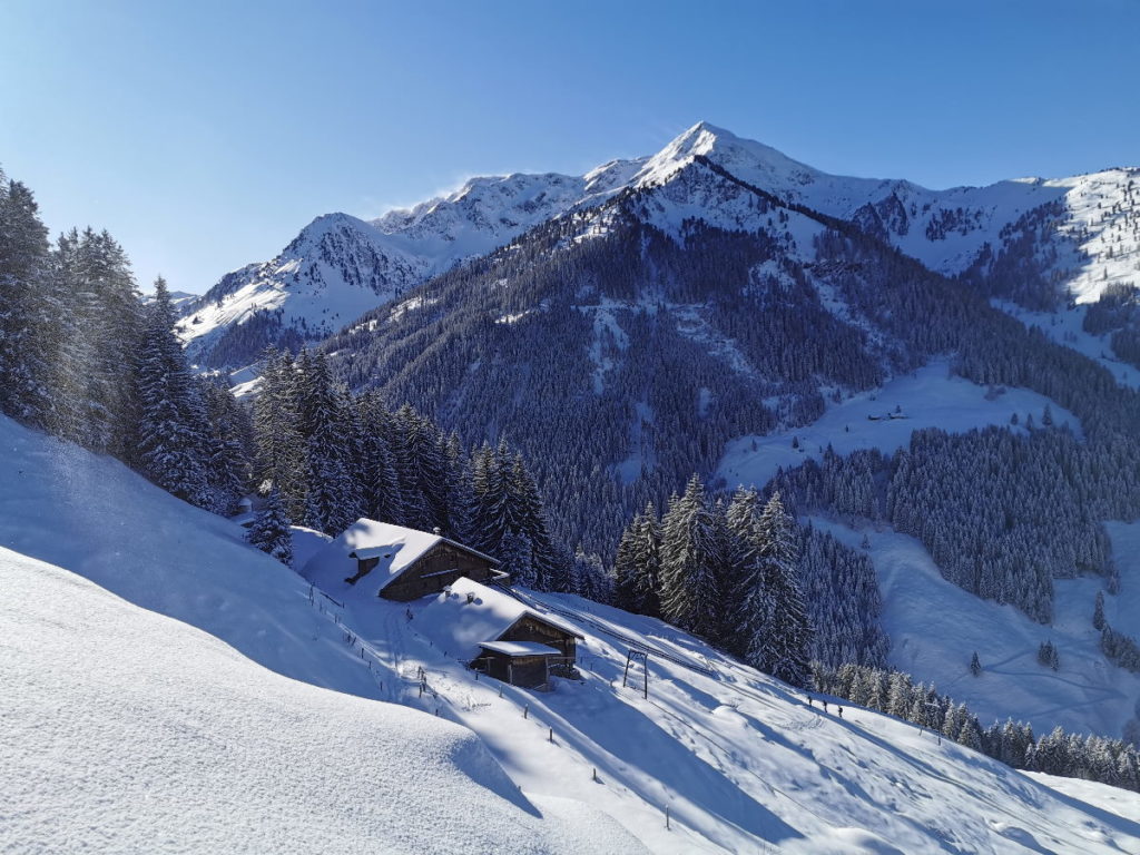 Deine Schneeschuhwanderung im freien Gelände mit Bergblick