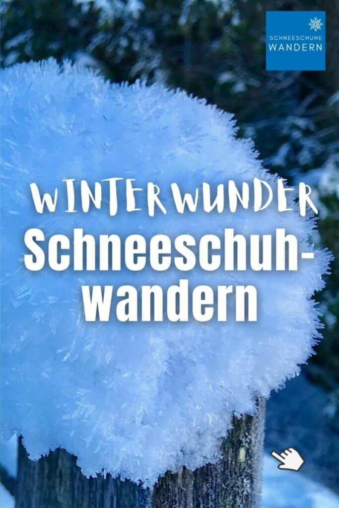 Schneeschuhwandern