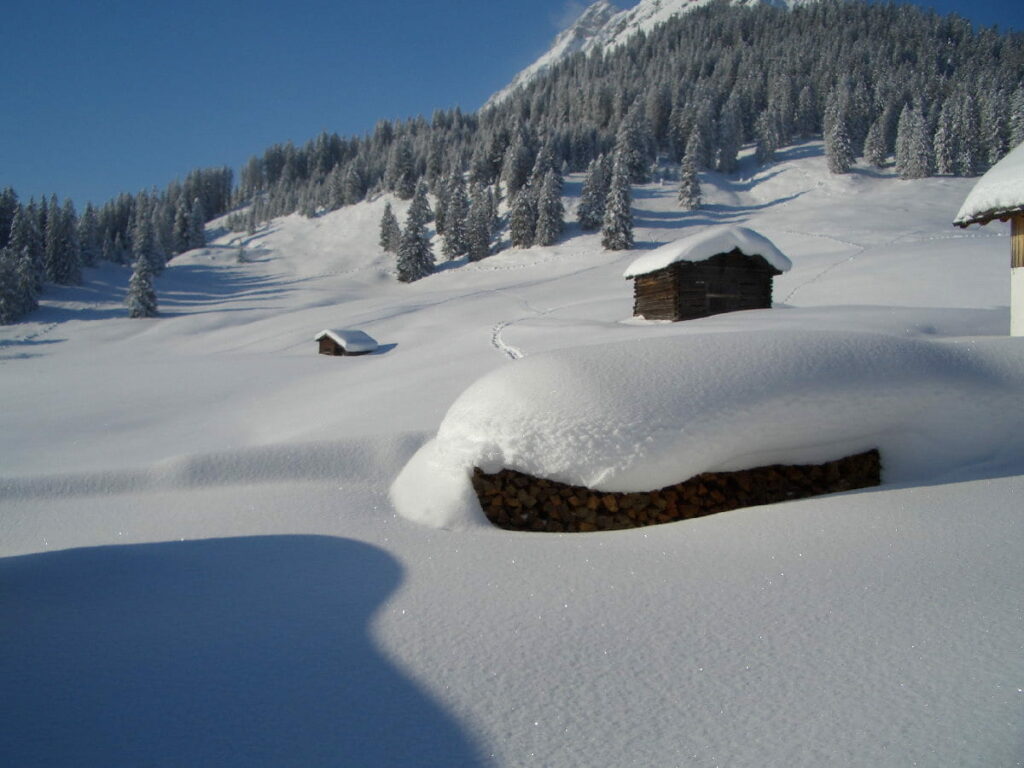 Schneeschuhwandern mittden durch die verschneite Landschaft